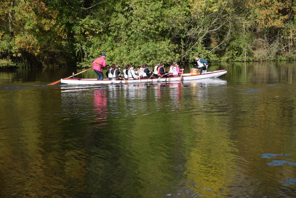 DSC 0239