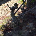 DSC 0180 102518 178