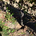 DSC 0182 102518 180