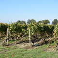 DSC 0201 102518 199