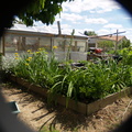 Maxcens 05-30-19 029